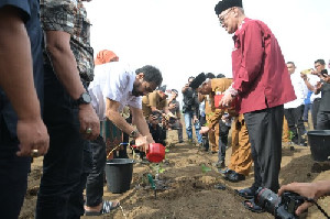 Mualem Dukung Petani Cabai dan Nilam untuk Kendalikan Inflasi dan Tingkatkan Ekonomi