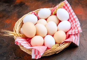Mutu dan Keamanan Telur: Kunci Ketahanan Pangan dan Gizi Berkualitas