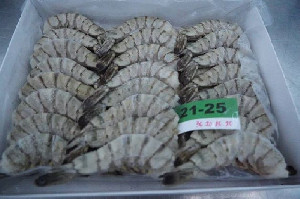 Pemerintah Bentuk Satgas Tangani Dugaan Pencemaran Cs-137 pada Udang Beku Ekspor