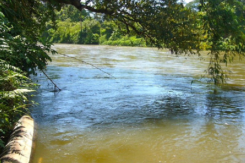 Penelitian UTU: Limbah Tambang Emas Cemar Sungai Krueng Sabee