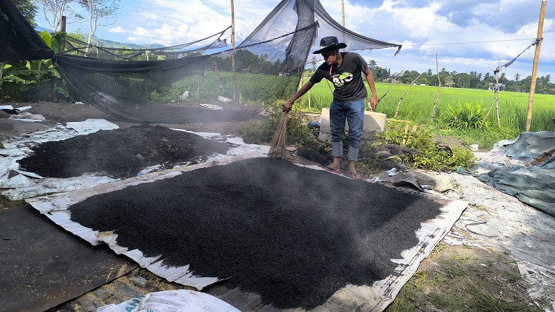 Sekam Bakar Super, Inovasi Pemuda Aceh Besar untuk Pertanian Ramah Lingkungan