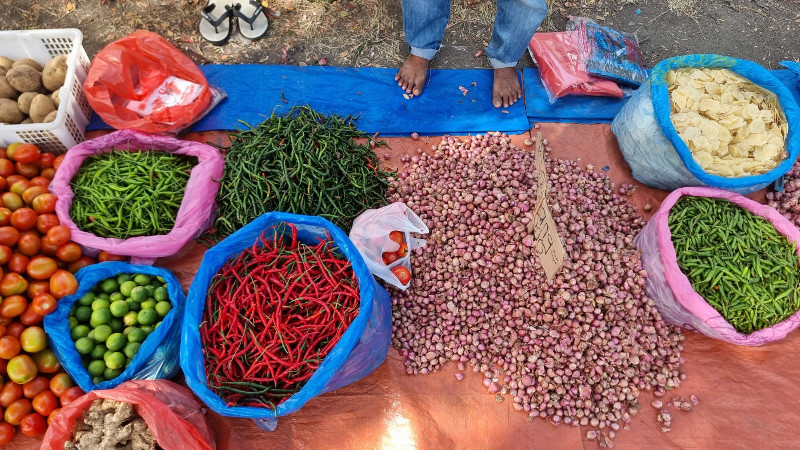 Musim Panen, Harga Bahan Dapur di Banda Aceh Mulai Turun