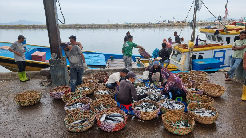 Cuaca Ekstrem di Perairan Aceh, Harga Ikan di TPI Lampulo Melonjak