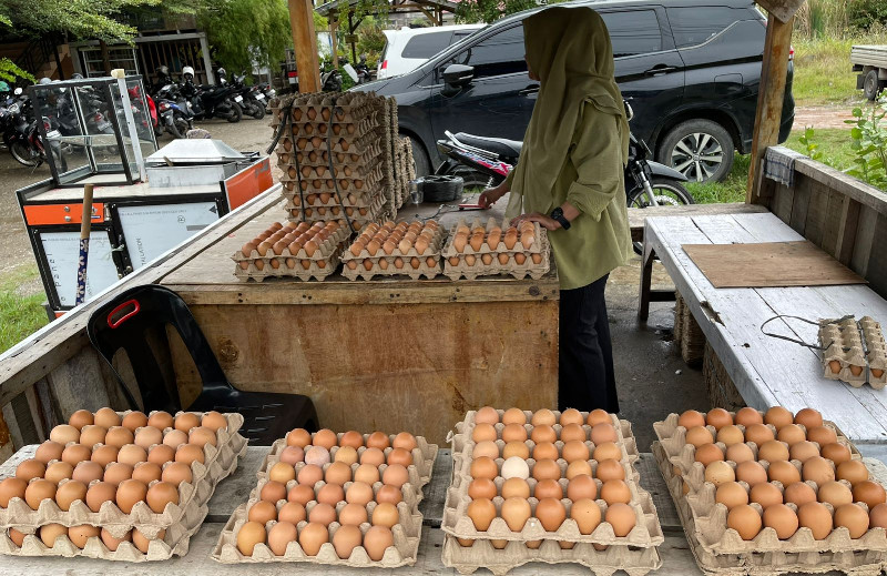 Harga Telur Ayam di Banda Aceh Meroket, Capai Rp 60 Ribu Per Papan