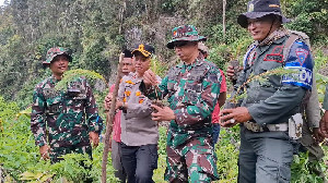 TNI-Polri Tanam 1.500 Pohon Pinus di Hutan Lindung Aceh Tengah