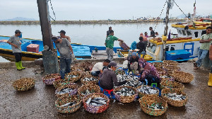 Cuaca Ekstrem di Perairan Aceh, Harga Ikan di TPI Lampulo Melonjak