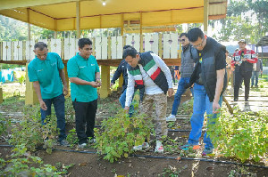 Touring Gunakan Sepmor, Wagub Kunjungi Lokasi Budidaya Nilam di Lhoong