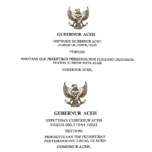Aceh Bentuk Tim Khusus Penertiban Tambang Ilegal, Dipimpin Langsung Mualem