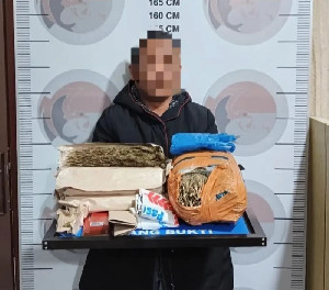 Polisi Gerebek Rumah Warga di Pintu Rime Gayo, Temukan 3 Kg Ganja