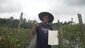 ATR/BPN Tertibkan Ribuan Hektare Tanah Telantar, 96 Persen Dialokasikan untuk Reforma Agraria