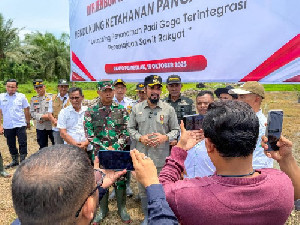 Bupati Aceh Timur Launching Penanaman Padi Gogo Terintegrasi Peremajaan Sawit Rakyat