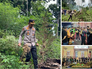 Polres Bireuen Berhasil Ungkap Kasus Narkotika, 154 Kg Ganja Diamankan