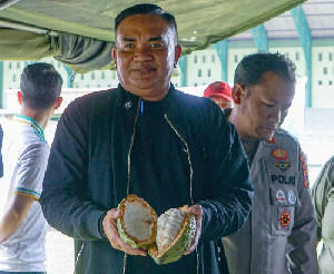 Sambut Hari Sumpah Pemuda, 203 Petani Ikuti Kontes Kakao Aceh Tenggara