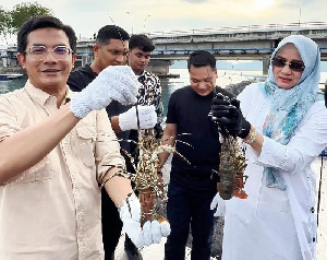 Ketua DPRK Puji Inovasi Anak Muda Banda Aceh dalam Budidaya Lobster