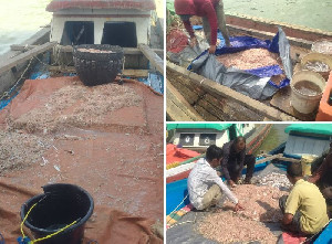 Akademisi UTU: Laut Barsela Mulai Rusak, Banyak Nelayan Masih Gunakan Trawl