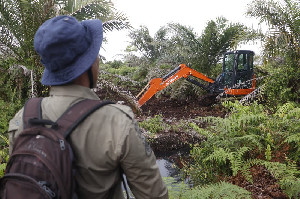 Polisi dan Gakkum Diminta Hentikan Deforestasi dan Pembangunan Ilegal di Rawa Tripa