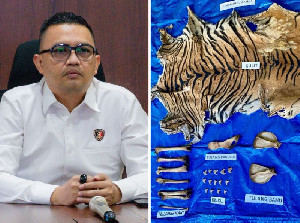 Polisi Tangkap Pelaku Perdagangan Satwa Dilindungi di Nagan Raya