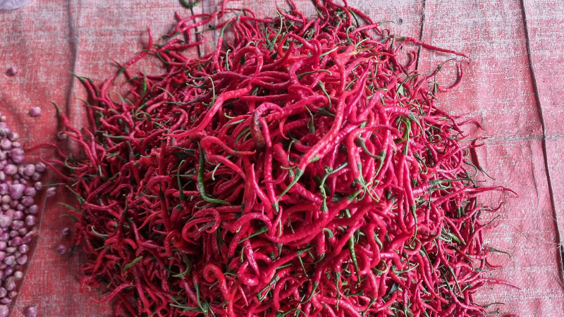 Pasokan Terbatas, Harga Cabai Merah di Aceh Utara Tembus Rp90 Ribu per Kg