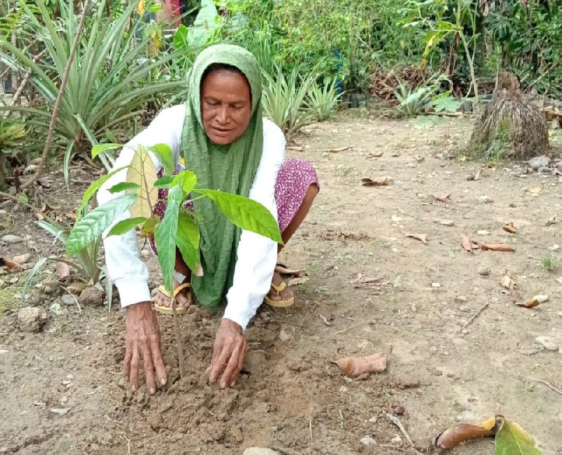 Jejak Perempuan Perkasa di Pohon Kakao