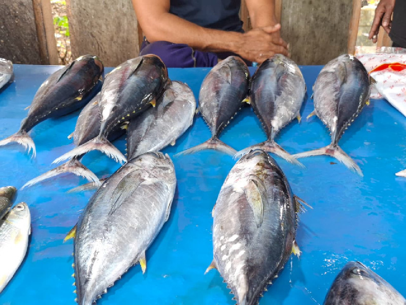 Cuaca Buruk, Harga Ikan di Lhokseumawe Mahal