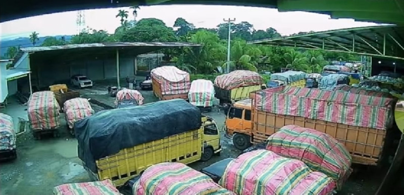 Pemadaman Listrik Rugikan Petani, Harga Gabah Aceh Anjlok