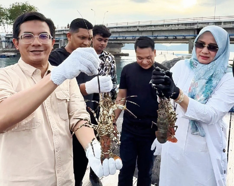 Ketua DPRK Puji Inovasi Anak Muda Banda Aceh dalam Budidaya Lobster