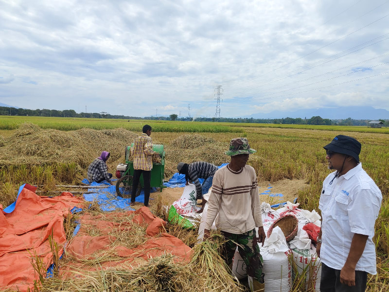 Bulog Aceh Tegaskan Persediaan Beras Aman hingga Juni 2026