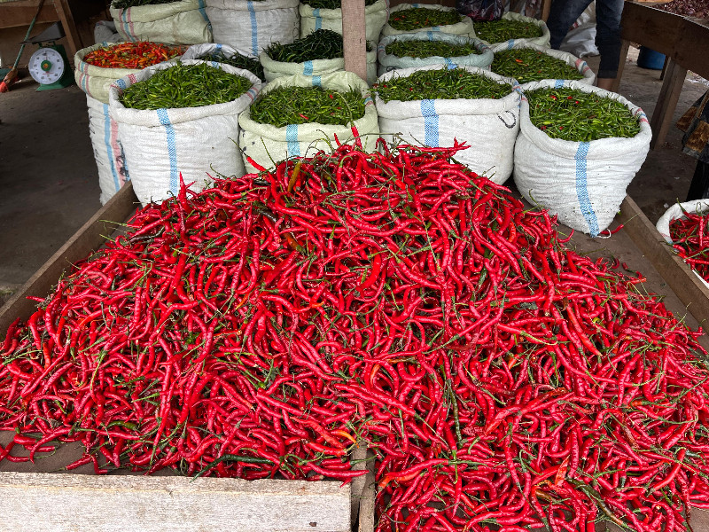 Harga Cabai di Aceh Tengah Picu Inflasi, Pemerintah Lakukan Berbagai Langkah Intervensi