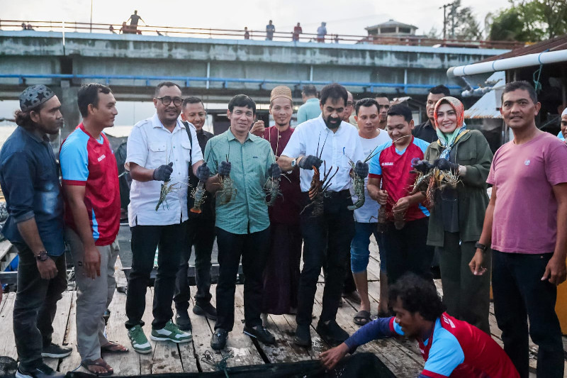 Mualem Panen Lobster di Keramba Nelayan Ulee Lheue