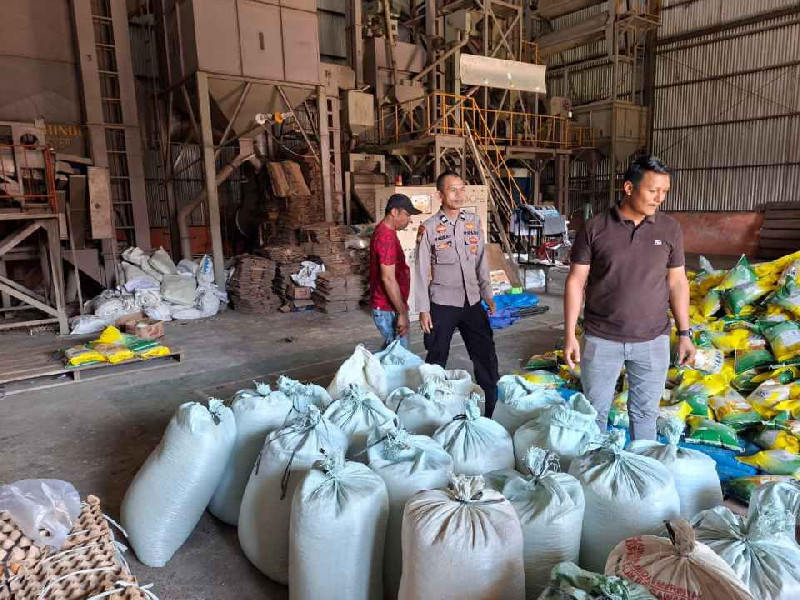 Bulog Meulaboh Serap Jagung Petani Binaan Polres Aceh Barat