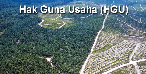 Tata Kelola HGU Bermasalah di Aceh: Pemerintah Bergerak, Lahan Terlantar Diusut