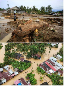 Gelombang Tuntutan Masyarakat Sipil Penetapan Bencana Nasional Menguat