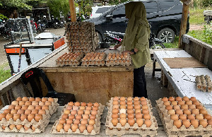 Stok Telur di Pasar Almahirah Banda Aceh Habis, Harga Tembus Rp100 Ribu per Papan