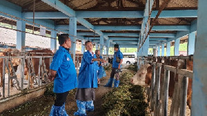 Aceh Besar Pelajari Pengembangan Peternakan di Balai Embrio Ternak Cipelang Bogor