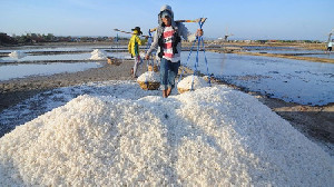 Tren Produksi Garam di Aceh sejak 2020-2025