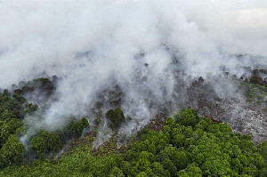 BPBA Catat 35 Kejadian Bencana di Aceh Selama September, Kerugian Capai Rp12,9 Miliar