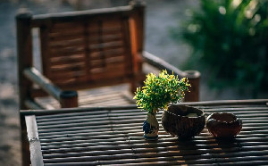 Kemenperin Genjot Hilirisasi Bambu, Industri Furnitur Hijau Dibidik