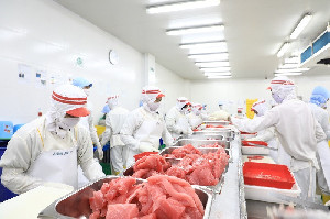 35 Perusahaan Perikanan Indonesia Dapat Lampu Hijau Ekspor ke Vietnam