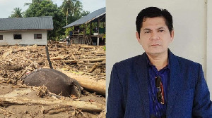 Gajah Sumatera Mati Terseret Banjir Aceh, Ahli Lingkungan: Alarm Kerusakan Ekologi