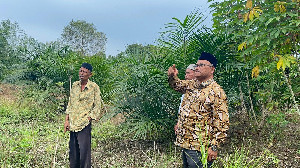 Kemenag Aceh Utara Intensif Pantau Pengelolaan Wakaf Produktif di Berbagai Kecamatan