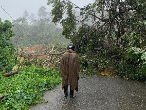 Longsor dan Pohon Tumbang, Jalan Lintas Aceh Utara-Aceh Tengah Lumpuh Total