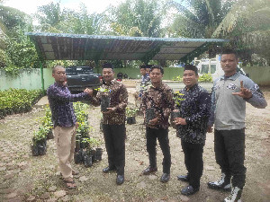 DLHK Aceh Serahkan 3.000 Bibit Pohon ke Kemenag Subulussalam