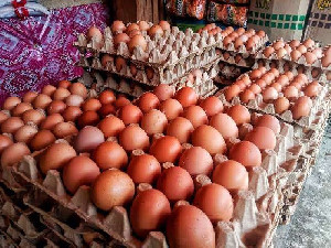Harga Telur Melejit di Pasar, Peternak: Bukan Kami yang Main!