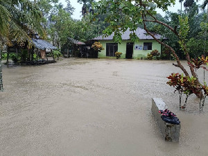 Banjir Meluas di Aceh Utara, Pemerintah Tingkatkan Status Kesiapsiagaan