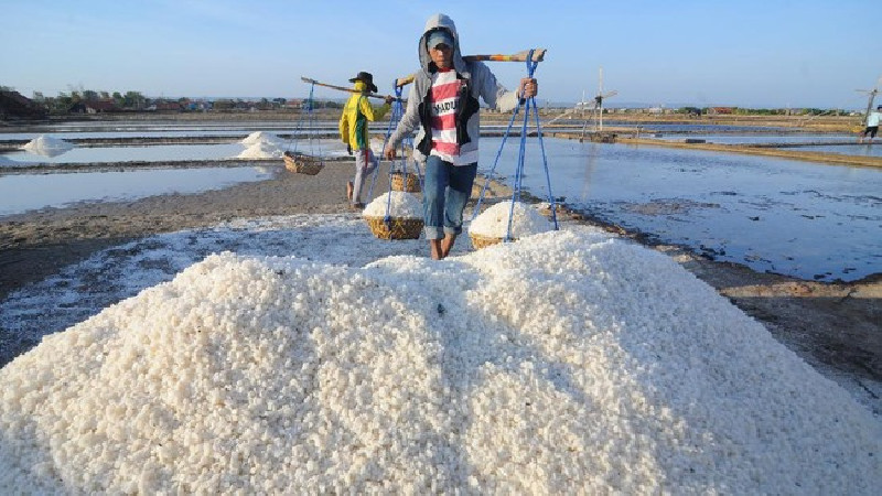 Tren Produksi Garam di Aceh sejak 2020-2025