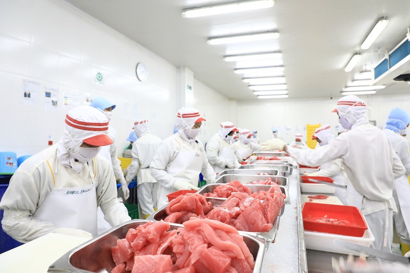 35 Perusahaan Perikanan Indonesia Dapat Lampu Hijau Ekspor ke Vietnam