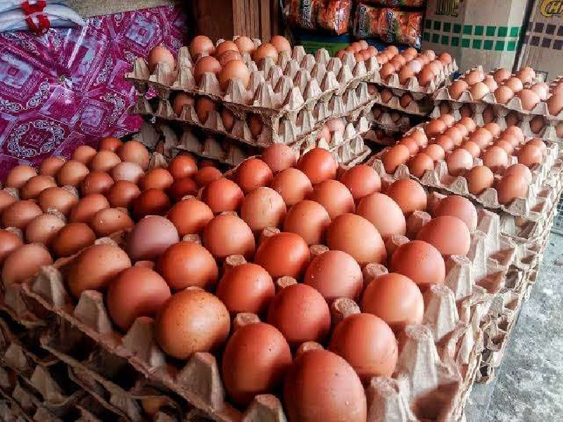 Harga Telur Melejit di Pasar, Peternak: Bukan Kami yang Main!