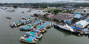 KKP Pastikan Layanan Perizinan Perikanan Tangkap 2026 Lancar, 5.151 Dokumen Telah Diproses