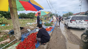 Pascabanjir Aceh, Cabai Takengon Banjiri Kota Lhokseumawe Harga Rp25 Ribu Per Kilo