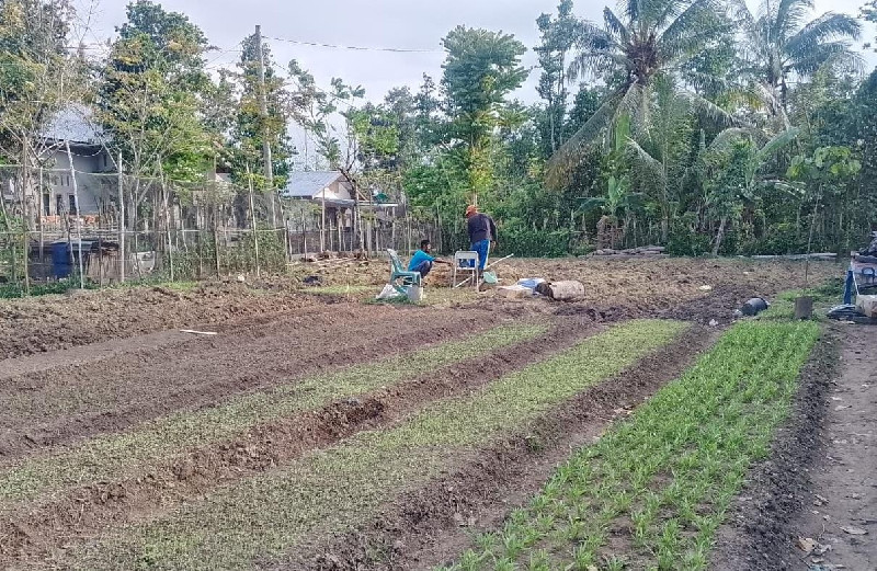 Meugoe, Upaya Bangkitkan Kemandirian Pangan Warga Pasca Banjir Aceh 2025